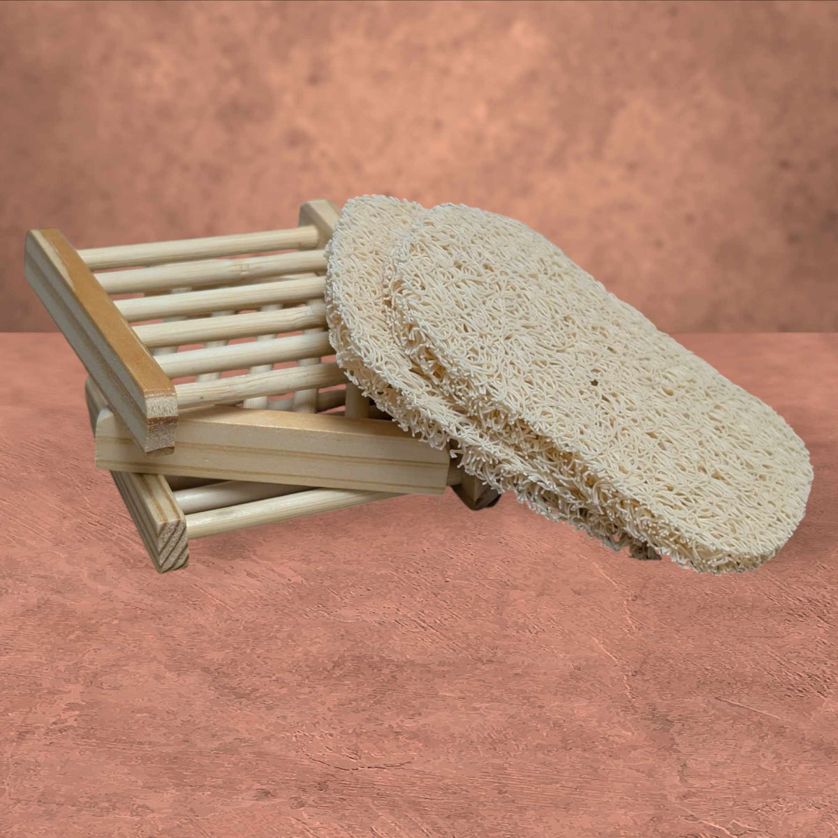 $2 Soap Saver Dish